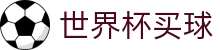 2026FIFA世界杯买球官方入口 - 官方技术支持